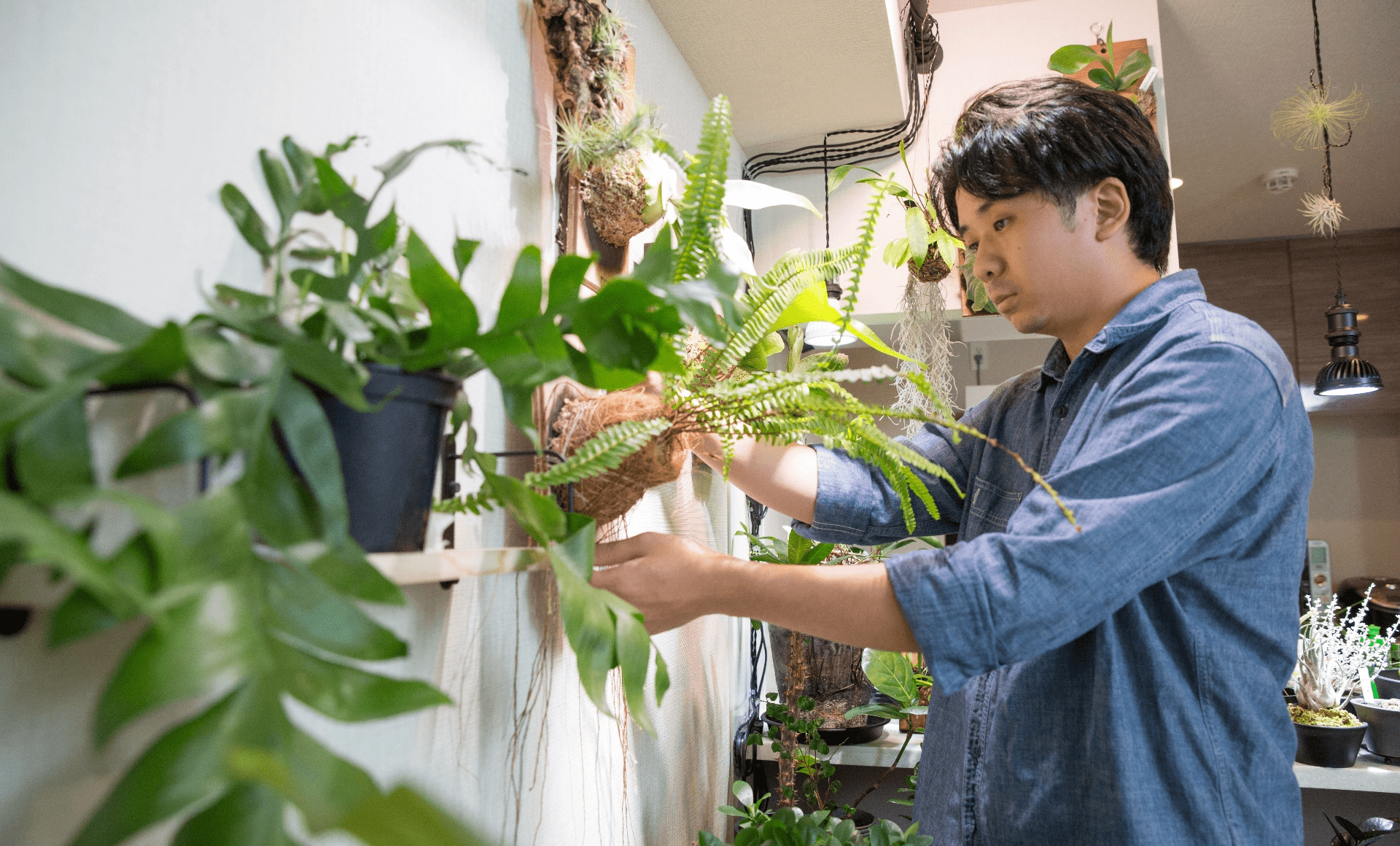 内外装サポート・販売促進・広告宣伝